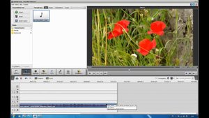 Обходим проблему со звуком в программе AVS Video Editor