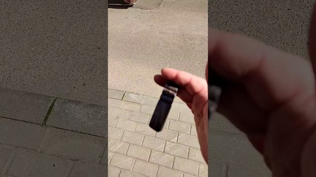 Карельская береза