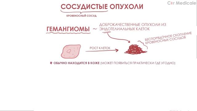 Сосудистые новообразования: саркома Капоши, гемангиома, ангиосаркома - кратко