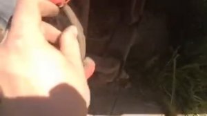 Замена задних колодок на Мицубиси Галант 9