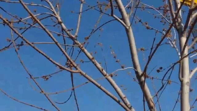 Одесса 2.04.17 Аркадия .Bomber . Отракционы . смотреть онлайн