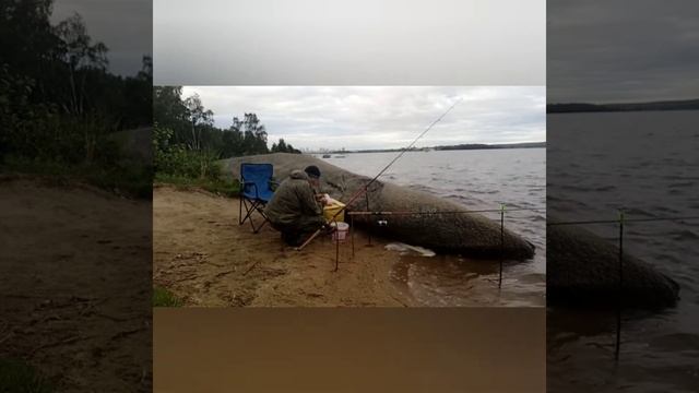 Рыбалочка и грибочки! Рыбалка в Екатеринбурге. смотреть онлайн