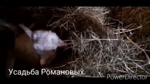 Лялькин первенец.mp4