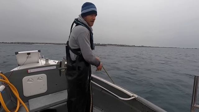 GIANT CRABS !! - Delicious Coconut  Crab Linguine!