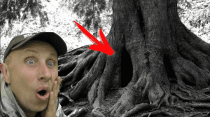 НАХОДКА у ЛЕСНОЙ ДОРОГИ БЫЛА СОВСЕМ не ОЖИДАННОЙ! Не ЗРЯ Копнул Здесь! В Поисках Клада от Влада!