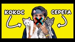 песня про котят но только музыка
