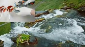 Зачем учить физику?