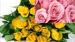 С днем рождения Зуля!