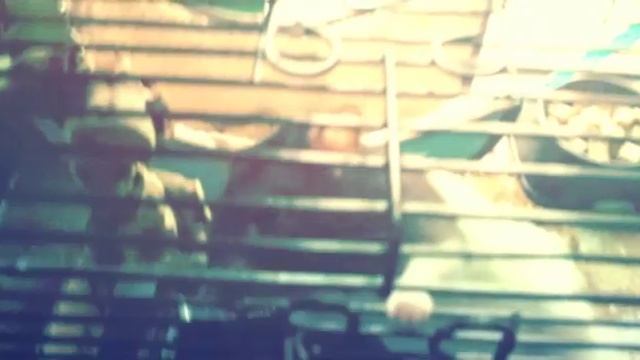 Meet the rats and fishhy! смотреть онлайн