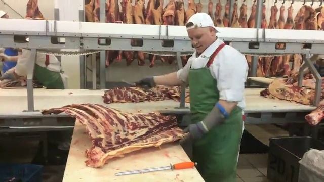 Обвалка передней части говядиныпередок 480 2 смотреть онлайн