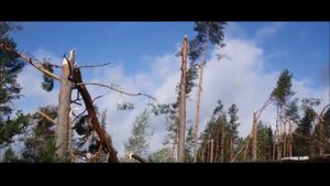 Детский лагерь "Спутник" Выборг