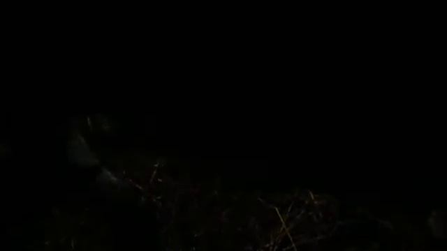 ОТЕЛИЛАСЬ 4-КОРОВА\\\РАЗДАИВАЮ ПЕРВОТЕЛКА\\\ТЕЛЕНОК НА ПОДСОСЕ\\ смотреть онлайн