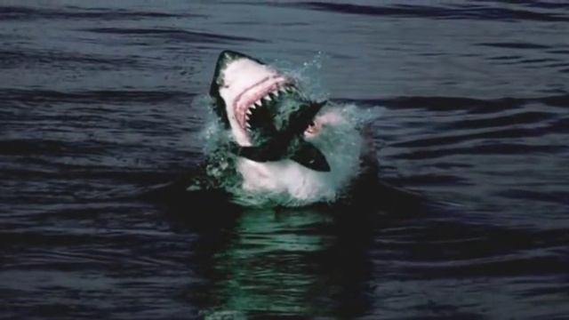 Hi-Fi - В облака билет смотреть онлайн