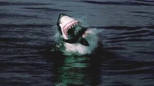 Hi-Fi - В облака билет