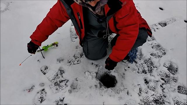 Поимки форели. Рыба держится ближе к берегу. Верхний пруд. смотреть онлайн