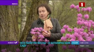 Уединиться на природе и сделать цветочное селфи! Ботанический сад в Минске открыл новый сезон