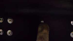 Дополнительный Свет TouaregNF_Установка Кранштейна Над НомеромTouaregNF.mp4