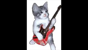 Мурзик , а Мурку слабо сыграть?