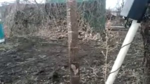 тест металлоискателя кощей рамка