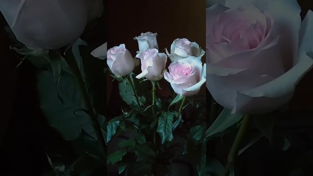 Свечи на восстановление ЖЕНСКОЙ энергии. Практическая магия.