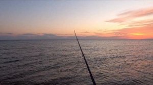 Рыбалка на Арабатской стрелке.Вырвал рыбу из пасти дельфина.Ответ подписчику!