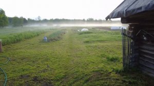 Рассвет в деревне.Река.Туман.Соловьи.