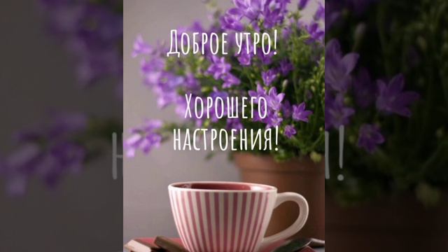 С добрым утром, хорошего дня смотреть онлайн