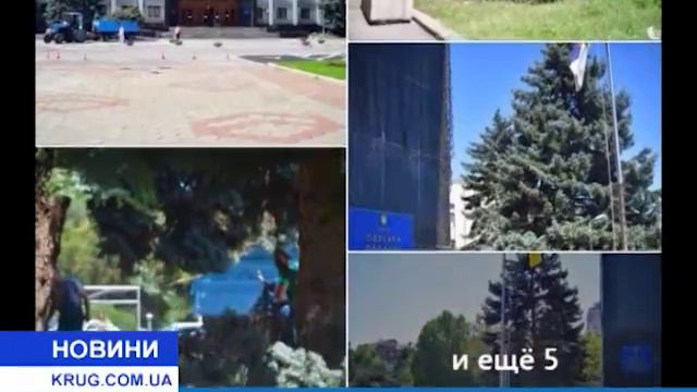 Экоактивистам удалось спасли голубые ели смотреть онлайн