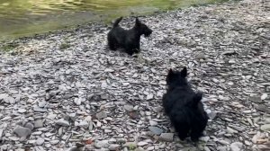 Скромное летнее приключение на реке Большой Сурень