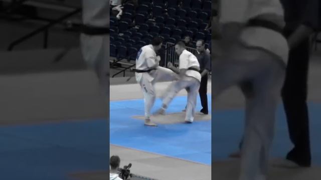 Kyokushin karate knockout