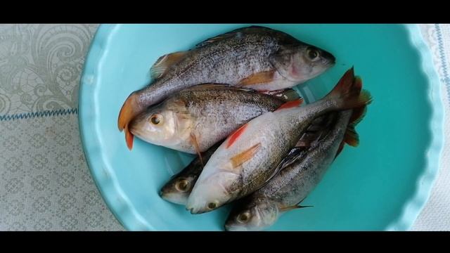 Речной окунь. Просто и легко  почистить рыбу от чешуи и внутренностей/улов зимней рыбалки