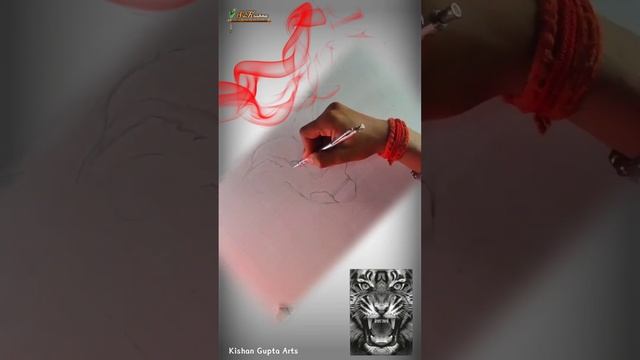 Drawing ✍️ || Angry Tiger ? || Short Video ? || Kishan Gupta Arts ?