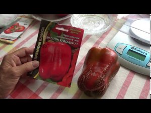 Красный перец Мегатон.