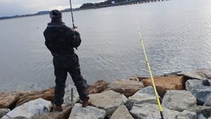 морская рыбалка #바다낚시