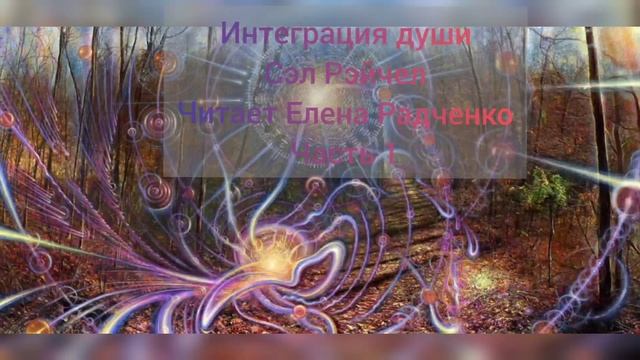 Интеграция души Сэл Рэйчел Читает Алена Радченко Часть 1
