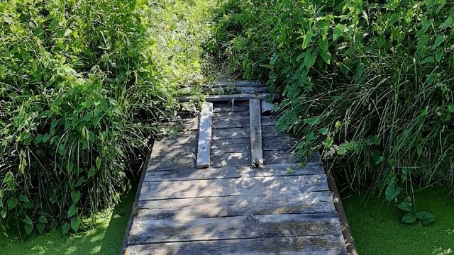 Строить мостики надежды. 22.06.2020 смотреть онлайн