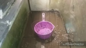 Продолжение 4  Чистка Аквариума . Донный Фильтр..Биофильтр.в аквариуме RESUN (Грязный АКВАРИУМ)