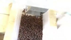 Фотосепаратор мини 32 -  сортировка зерна кофе по цвету