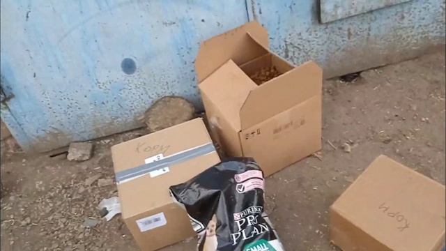 Покупки, подарки приюту. /Приют для собак г. Ефремов.