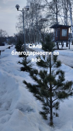 Сила благодарности за всё❄️Храни покой и счастье внутри, чтобы проявить его во внешний свой мир ☮️