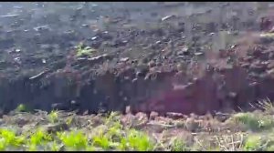 Плуг ПС-5/35 (замена устаревшего ПЛН-5/35). Реальный отзыв фермера!