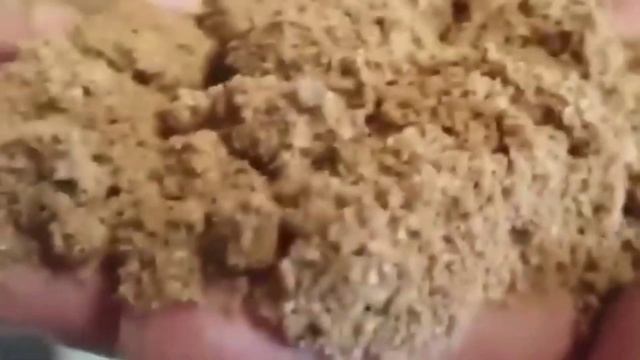 Cara Membuat Pakan Ayam Dan Bebek Petelur Dengan Rumus Ransum Pakan Pabrikan | Part.1 смотреть онлайн