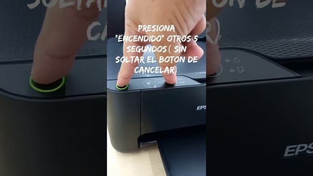 Tienes una Epson L3110? tienes que saber esto.