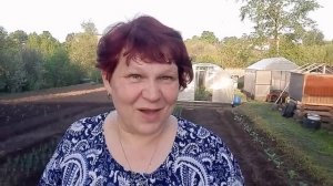 Самая важная ПОДКОРМКА для ЛУКА весной!!?? Сделайте это для Хорошего урожая ЛУКА ❗❗❗
