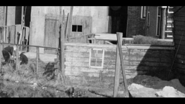 Ошибка создателя? смотреть онлайн