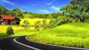 О пароксизмальной тахикардии и как от нее избавиться