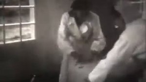 РАЗВЕДЕНИЕ И СОДЕРЖАНИЕ КУР В СССР.КУРЫ НЕСУШКИ