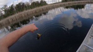 crappie fishing with berkley gulp alive minnows at the secret pond... shh...