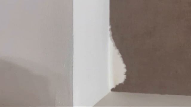 Шустрик-девочка или мальчик? смотреть онлайн