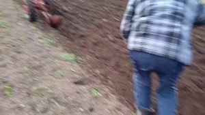 Вспашка огорода всвал весной , под посадку картошки мотоблок мтз